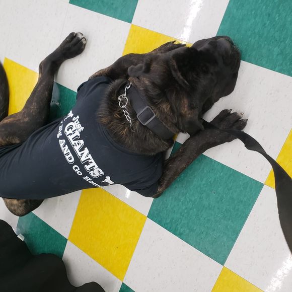 Meet your Posher, Lynn - Picture 1 of 1